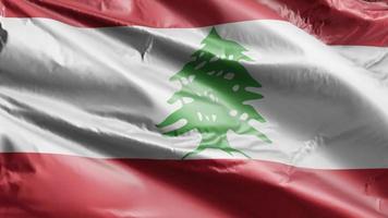 bandeira do líbano acenando lentamente no loop de vento. bandeira libanesa balançando suavemente na brisa. fundo de preenchimento completo. Ciclo de 20 segundos. video