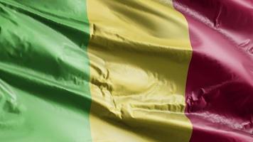 Mali flag waving on the wind loop. Malian banner swaying on the breeze. Full filling background. 10 seconds loop. video