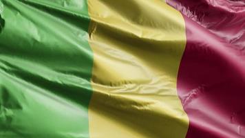 Mali-Flagge weht langsam auf der Windschleife. Malisches Banner, das sanft im Wind schwankt. voll ausfüllender Hintergrund. 20 Sekunden Schleife. video