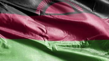 malawis textilflagga vajar på vindslingan. malawiska banner vajande på vinden. tyg textilvävnad. full fyllning bakgrund. 10 sekunders loop. video