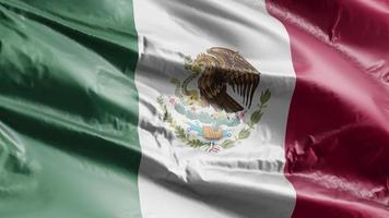 Mexiko-Flagge weht auf der Windschleife. mexikanische Fahne, die auf der Brise schwankt. voll ausfüllender Hintergrund. 10 Sekunden Schleife. video