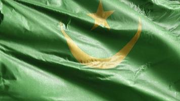 Mauritania textile flag slow waving on the wind loop. Mauritanian banner smoothly swaying on the breeze. Fabric textile tissue. Full filling background. 20 seconds loop. video