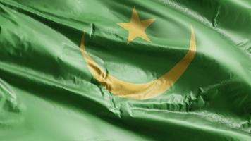 Mauritania flag waving on the wind loop. Mauritanian banner swaying on the breeze. Full filling background. 10 seconds loop. video