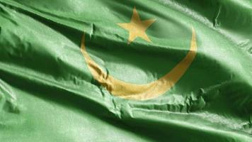 Mauritania textile flag waving on the wind loop. Mauritanian banner swaying on the breeze. Fabric textile tissue. Full filling background. 10 seconds loop. video