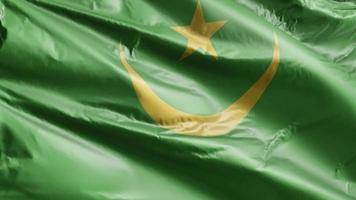 Mauritania flag slow waving on the wind loop. Mauritanian banner smoothly swaying on the breeze. Full filling background. 20 seconds loop. video