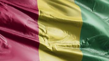 Guinea flag waving on the wind loop. Guinean banner swaying on the breeze. Full filling background. 10 seconds loop. video