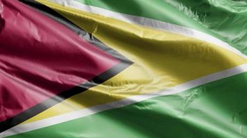 guyana flagga långsamt viftande på vindslingan. Guyanesisk banderoll svajar smidigt på vinden. full fyllning bakgrund. 20 sekunders loop. video