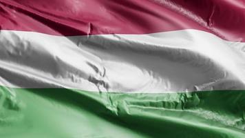 Hungary flag waving on the wind loop. Hungary banner swaying on the breeze. Full filling background. 10 seconds loop. video