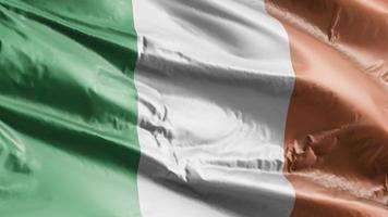 Ireland flag waving on the wind loop. Irish banner swaying on the breeze. Full filling background. 10 seconds loop. video