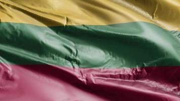 Lithuania flag waving on the wind loop. Lithuanian banner swaying on the breeze. Full filling background. 10 seconds loop. video