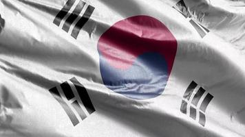 South Korea textile flag slow waving on the wind loop. South Korean banner smoothly swaying on the breeze. Fabric textile tissue. Full filling background. 20 seconds loop. video