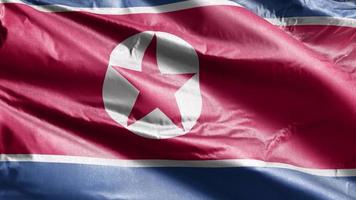 Nordkoreas textilflagga vajar långsamt på vindslingan. nordkoreansk banderoll svajar mjukt på vinden. tyg textilvävnad. full fyllning bakgrund. 20 sekunders loop. video