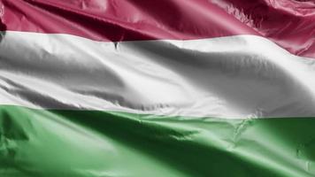 Hungary flag slow waving on the wind loop. Hungary banner smoothly swaying on the breeze. Full filling background. 20 seconds loop. video