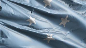 bandera de los estados federados de micronesia ondeando lentamente en el bucle de viento. bandera de los estados federados de micronesia balanceándose suavemente con la brisa. fondo de relleno completo. Bucle de 20 segundos. video