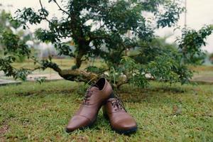 Luxurious brown wedding shoes photo