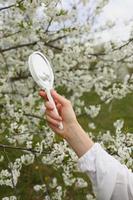 Outdoor close up of young female hand holding small retro mirror in blooming garden on spring day. Model looking in little mirror, posing in street, near flowering trees. Female fashion concept photo