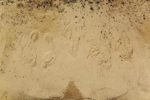 Footprints on the sand. on the beach. photo