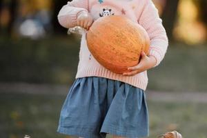 little girl holds a big pumpkin in her hands in the autumn day. Halloween party. cropped photo. photo