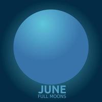 june full moon vector illustration