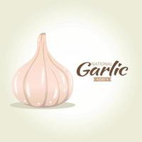 National garlic day vector
