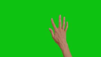 Female hand gestures at Green Screen Background. video