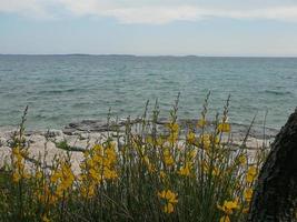 View of Barbariga beach in Istria photo