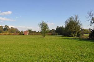 paisaje natural con pradera verde, cielo azul y árboles foto