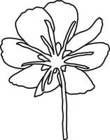cosmea pink flower coloring page for kids vector