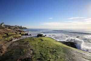 playa windansea en la jolla, san diego foto