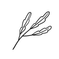 Branch of plant. Leaves in line style. Black and white natural illustration. Minimalism and simple flora. vector