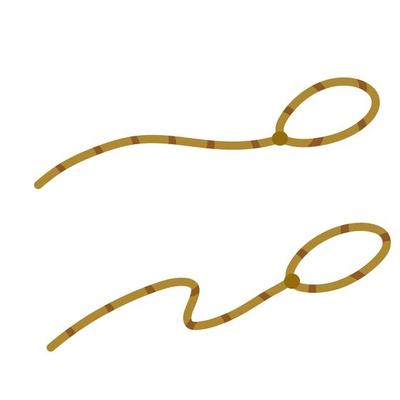 Lasso. Rope for catching animals. Brown rustic cord. Cartoon flat illustration isolated on white. Element of cowboy and wild West. Long loop