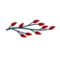 Branch with red leaves. Plant design. Element of wood and nature vector