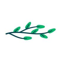 Branch with green leaves. Plant design. vector