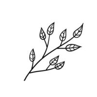 Branch of plant. Leaves in line style. Black and white natural illustration. Minimalism and simple flora. vector