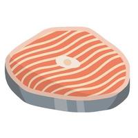 Piece of red salmon fish meat with pink stripe. Raw Seafood. vector