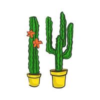 Cacti in pots color vector illustration on a white background.