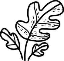 oak tree leaves. Plant. Vector illustration. Linear hand drawing doodle