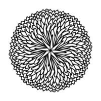 Floral, hand drawn aster mandala flowers in doodle style isolated on white background. Funny and cute coloring for seasonal design, textile, decoration kids playroom or greeting card. Chrysanthemum. vector