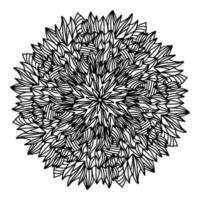 Floral, hand drawn aster mandala flowers in doodle style isolated on white background. Funny and cute coloring for seasonal design, textile, decoration kids playroom or greeting card. Chrysanthemum. vector