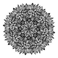 floral, flores de mandala de aster dibujadas a mano en estilo de fideos aisladas sobre fondo blanco. coloración divertida y linda para el diseño estacional, textil, decoración de la sala de juegos para niños o tarjeta de felicitación. crisantemo. vector