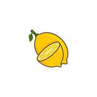 Lemonade fruit icon vector design templates on white background