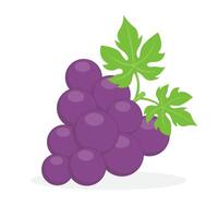 Grape Graphic Resource