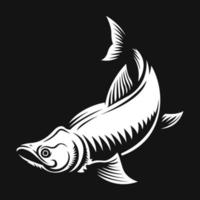 Fish Illustration Vector
