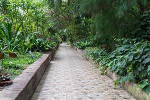 stone path in the decorative greenhouse. tropical orangery photo