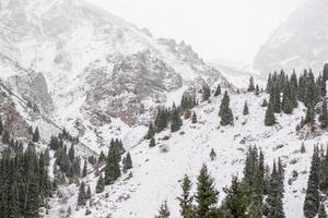 paisaje de montañas rocosas de invierno con niebla foto