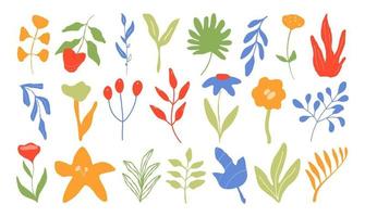 elemento de vegetación de follaje abstracto. conjunto de rama floral e icono de hojas. ilustración de garabato vectorial vector