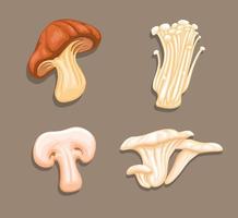Mushroom variation collection set, vegetable food symbol illustration vector