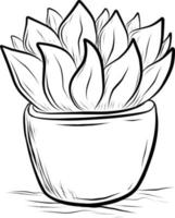Sketch plant in pots vector