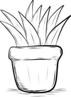boceto de planta en macetas. vector