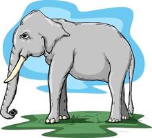 ilustración, de, lindo, caricatura, elefante vector